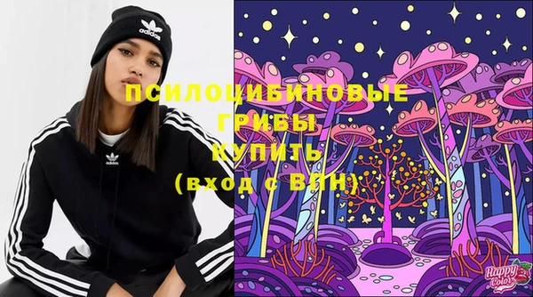 ПСИЛОЦИБИНОВЫЕ ГРИБЫ Нягань
