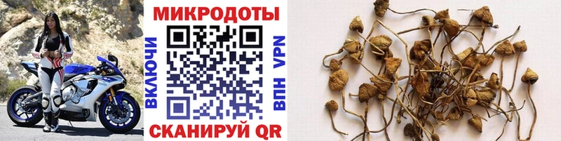 Галлюциногенные грибы MAGIC MUSHROOMS  это клад  Находка 