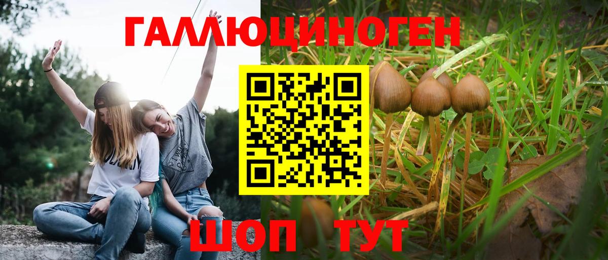 Галлюциногенные грибы мицелий  Вход с VPN  Псилоцибиновые грибы Cubensis  Находка 