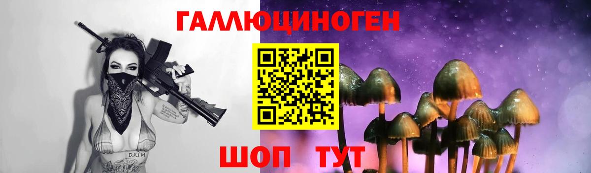 Псилоцибиновые грибы MAGIC MUSHROOMS Находка